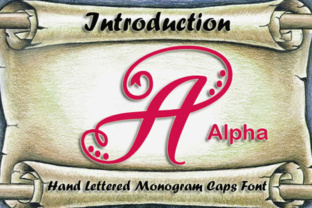 Alpha Monogram: The Elegant Script Handwritten Font for Boutique Branding
