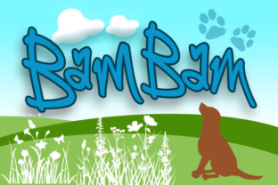 BamBam: A Playful Script Handwritten Font for Digital Branding