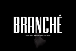 Branche Display Font for Professional Branding
