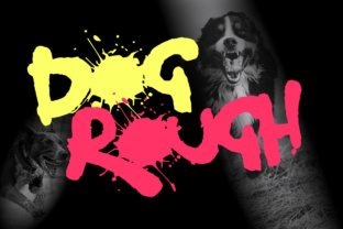 Dog Rough Typeface: Adding Edge to Handmade Branding
