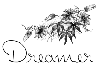 Dreamer: A Youthful Script Handwritten Font for Editorial Design
