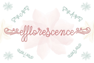 Efflorescence Font for Elegant Branding and Packaging