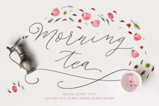 Morning Tea Script: A Signature Hand Drawn Font for Boutique Branding