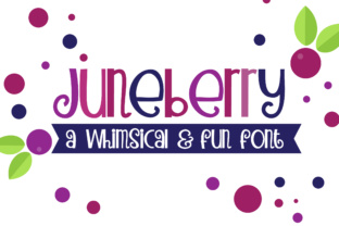 PN Juneberry Typeface for Editorial Design